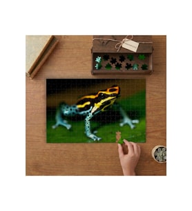 Zehirli Renkli Kurbağa Tasarımı 240 parça Ahşap Puzzle Ahşap Kutuda MP10883