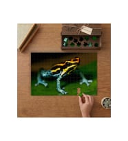Zehirli Renkli Kurbağa Tasarımı 240 parça Ahşap Puzzle Ahşap Kutuda MP10883