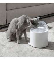 Catlink Pure 2 UV Akıllı Su Pınarı – 2.6 Lt Ultra Filtreli, Sessiz Pompa, Wi-Fi Kontrollü