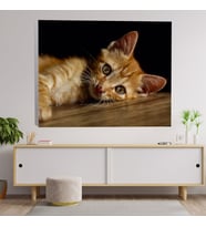 Sevimli Sarı Kedi Dekoratif Kanvas Tablo