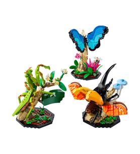 Lego Ideas Böcek Koleksiyonu 21342