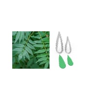 Tırtıklı Yaprak Kesici Set 2’li – 5cm
