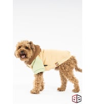 Köpek Kıyafeti, Caramel Köpek Hoodie, Küçük Irk Ve Orta Irk Köpek Kıyafeti (Karamel)