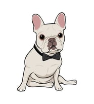 Köpek Tasarımlı Ahşap Poster