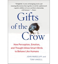 Gifts Of The Crow: How Perception, Emotion, And Thought Allow Smart Birds To Behave Like Humans
