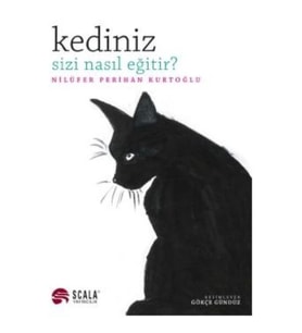Kediniz Sizi Nasıl Eğitir