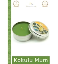 #MumOdaKokusu Dekoratif Hediyelik Modern Şık Metal Kutulu Kaliteli Mum Oda Kokusu 120G Teneke Kutu