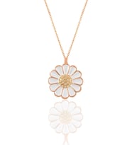 Söğütlü Silver Gümüş rose zirkon taşlı papatya kolye