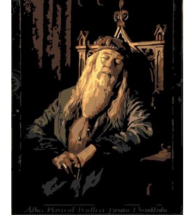 Dumbldore Sayılarla Boyama Seti 40x50 cm  (Tuvale Gerili)