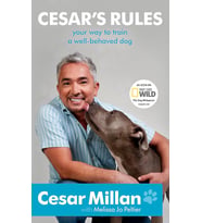 Cesar'S Rules