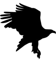 Folyo Sticker Kartal ADKPQUY624 70cm Uzunluk