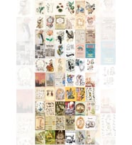 MeyArt Ajans Vintage Botanical 60' Lı Duvar Posteri Seti - ETİKET - STICKER MAVBES-10001