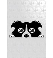 KÖPEK STİCKER YAPIŞTIRMA 30 cm x 20 cm