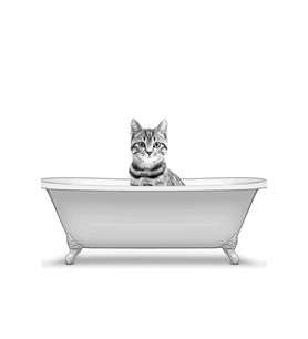 Kedi, Banyo Sanatı, Banyo Duvar Sanatı, Banyo Çocuk Sanatı, Banyo Dekoru Ahşap Poster