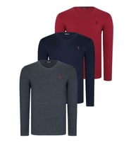 ÜÇLÜ SET T8587 DEWBERRY V YAKA ERKEK SWEATSHIRT-LACİVERT-ANTRASİT-BORDO