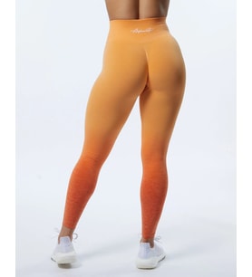 Alphalete Büzgülü Tayt Ombre