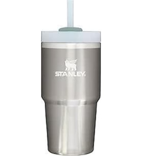 Quencher H2.0 Flowstate Paslanmaz Çelik Vakum Yalıtımlı Bardak 0,59 L