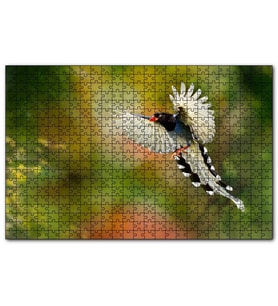 Cakapuzzle Uçan Cennet Kuşu  Puzzle Yapboz MDF (Ahşap) (120 Parça)