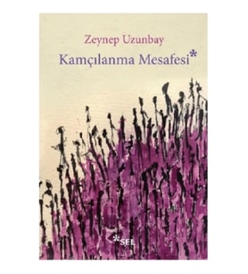 Kamçılanma Mesafesi