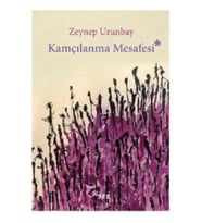 Kamçılanma Mesafesi