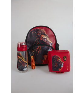 "DEKOMUS CEP DEFTERİ HEDİYELİ" LİSANSLI GALATASARAY KÜÇÜK BOY 32 CM ANAOKUL ÇANTASI,500 ML MATARA VE BESLENME KABI SETİ