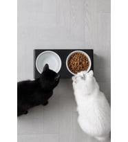 2'li Siyah Pleksi Kedi Ve Köpek Seramik Mama & Su Kabı Paspas Hediye