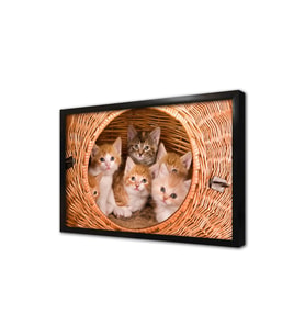 Kedi Yavrusu Çerçeveli Mdf Tablo
