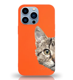 Apple iPhone 13 Pro Uyumlu Lansman Kılıf Catface Tasarımlı Altı Kapalı İçi Kadife Kaplı  Kapak (Şeffaf)
