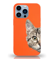 Apple iPhone 13 Pro Uyumlu Lansman Kılıf Catface Tasarımlı Altı Kapalı İçi Kadife Kaplı  Kapak (Şeffaf)