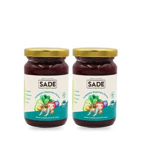 SADE ORGANİK AVAKADO BÖĞÜRTLEN PÜRESİ 100 GR. 2 Lİ
