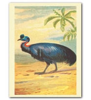 Cakatablo MDF (Ahşap) Tablo Cassowary ve Kuş Görseli