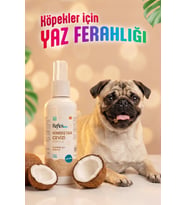Reflex Care Hindistan Cevizi Kokulu Köpek Kolonyası 125 ml