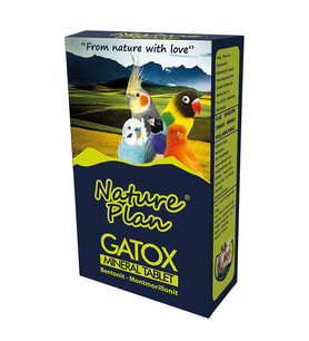 Nature Plan Gatox Mineral Taş Skt: