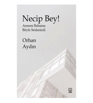 Necip Bey!