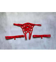 Ağı Açık Fantazi Külot ve Bacak Bandı Takımı Lastik Harness