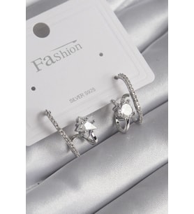 Pirinç Gümüş Renk Zirkon Taşlı Kadın Küpe TJ-BKP8620