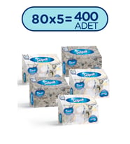 Selpak El Ve Yüz Havlusu Kutulu Mermer Desen 5*80 Yaprak