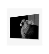 Miyrem Glasses Collection -A1^#  Aslan Hayvan Cam Tablo (Çok Renkli)