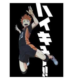 Haikyuu!! - Shoyo Hinata Tablo Ahşap Poster Dekoratif