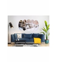 KEDİ MDF TABLO-2572