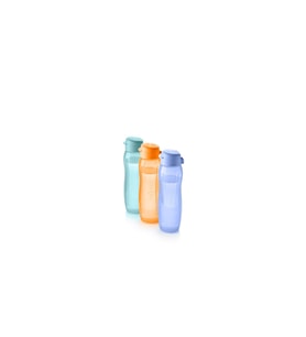 Eco Şişe 3'lü Set Suluk Ve Matara 750 ml