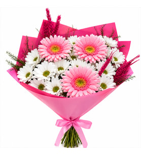 Pembe gerbera beyaz papatyalar