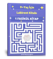 9+ Yaş Labirent Kitabı