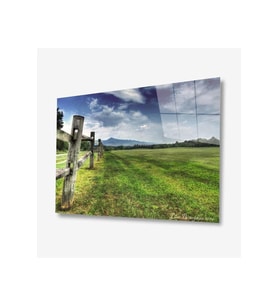 Doğa Cam Tablo 4mm Dayanıklı Temperli Cam (Çok Renkli)