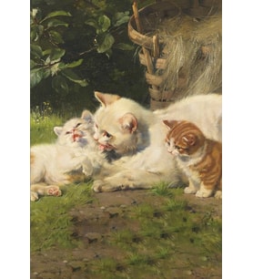5cm Çizgili Defter 128 Sayfa
