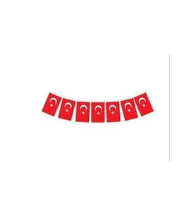 Vatan Bayrak İpli Orta Boy 13*8 Cm 40'lı