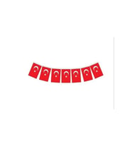 Vatan Bayrak İpli Orta Boy 13*8 Cm 40'lı