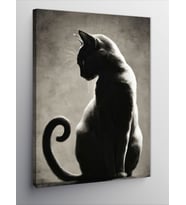 Kanvas Tablo Siyah Kara Kedi