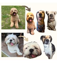 KalikukaPetCraft Köpek Yastık, Evcil Hayvanınıza Özel Yastık ve Anahtarlık, Kişiye Özel Hediye