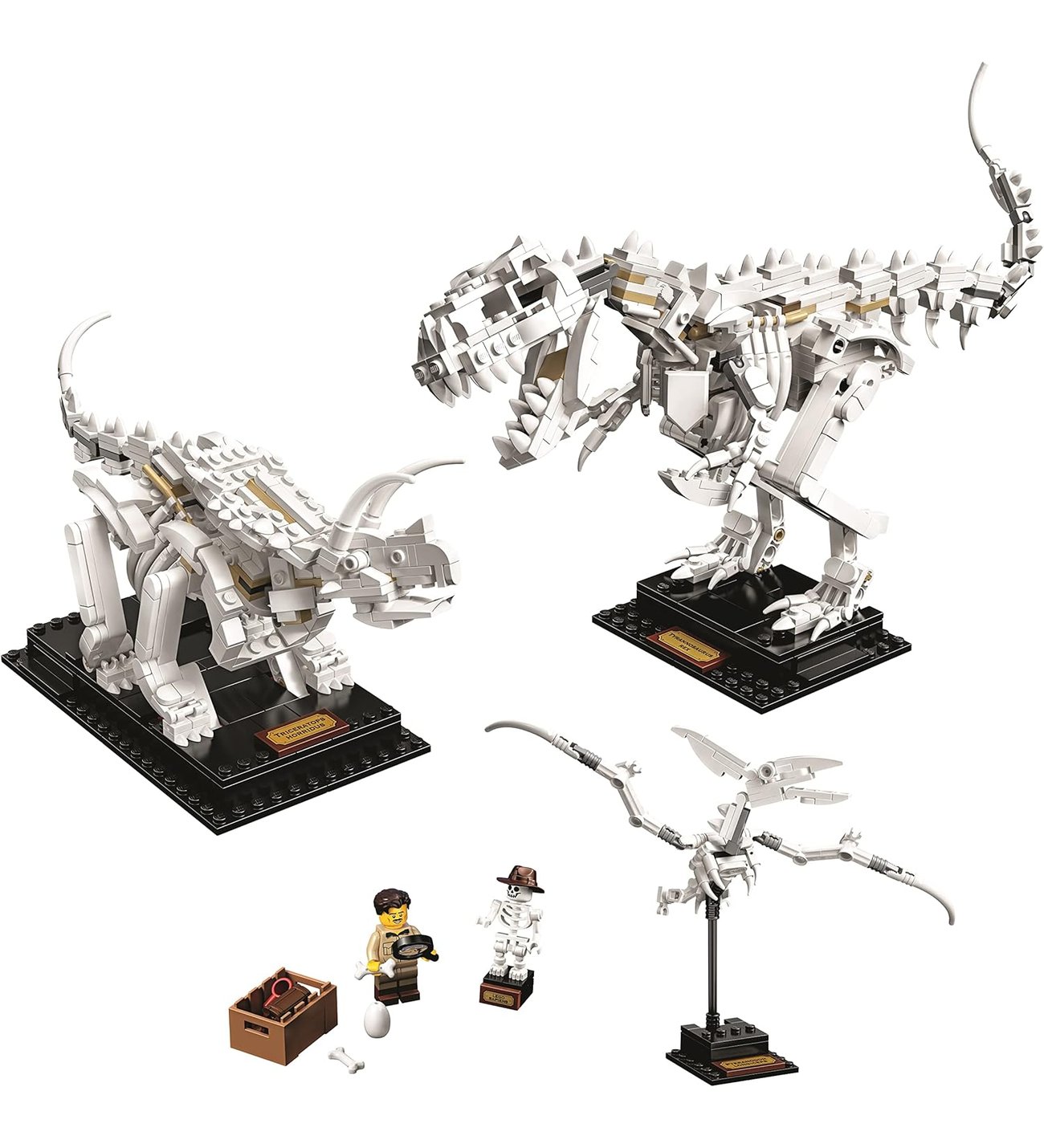 くーママページ LEGO 21320 Dinosaur Fossils Set